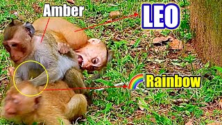 Libby Go to help Rainbow from Amber Nice Video [upl. by Dat989]