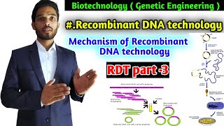 Mechanism of Recombinant DNA technology process of recombinant DNA technologyBSc 3 year Zoology [upl. by Yblocaj885]