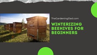 Winterizing Beehives for Beginners [upl. by Jeri182]