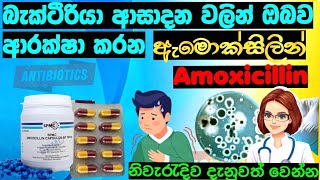 ඇමොක්සිලින් Amoxicillin ඖෂධය ගැන නිවැරැදිව දැනුවත් වෙන්න  Amoxicillin sinhala [upl. by Phail]