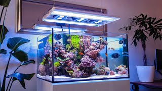 15 Reverse Osmosis Upgrades  EP 3 Reverse Osmosis Systems and Your Reef Tank [upl. by Eelhsa195]