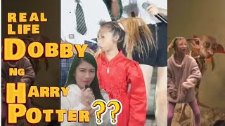 Totoo ba ang Dobby Syndrome [upl. by Cleodell923]