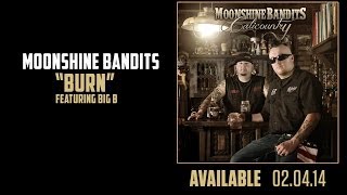 Burn feat Big B  Moonshine Bandits  Full Audio [upl. by Jablon]