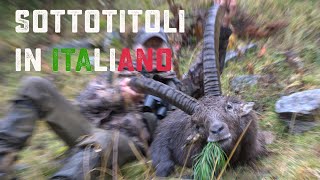 Caccia allo stambecco – caccia in montagna  Alpi  Capra Ibex trofeo grande [upl. by Maag]