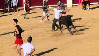 Vaquillas Feria de Albacete 2014 [upl. by Aramoix917]