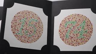 Ishihara Test in Action A RealTime Colorblindness Test [upl. by Anisah361]