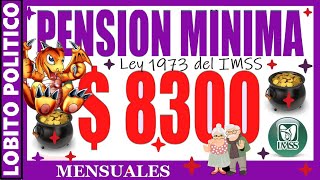 692💜PENSIÒN MÌNIMA GARANTIZADA PARA IMSS LEY 1973 😃👍 méxico imss pension [upl. by Laroy]