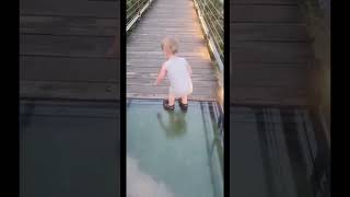 Best funny baby video compilation goviral viral viral fyp goviral go funny funnychildren [upl. by Irpak]