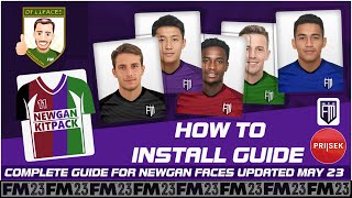 UPDATED NEWGAN FACEPACK INSTALL GUIDE from The Skin Clinic FM23 df11 cutouts [upl. by Neelram]