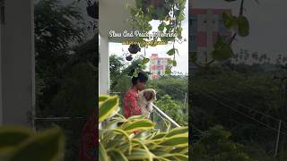 MiniVlog 74  Slow And Peaceful Morning In Amma Veedu sowbaraniyaramesh minivlog [upl. by Aiotal957]