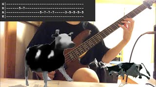 Polish Cow  BASS cover  TAB [upl. by Maryn]