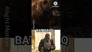 Grizzly bear Vs Silverback gorilla shorts viral wildlife [upl. by Diskson]