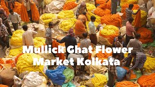 Mullick Ghat Flower Market 💐🌹😱 Kolkata Flower Market Asia Biggest Flower Market flowers flower [upl. by Valleau]