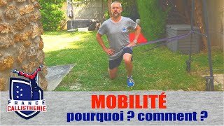 Callisthénie  pourquoi et comment améliorer sa mobilité [upl. by Mady]