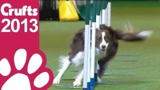 Agility  Kennel Club British Open  Crufts 2013 [upl. by Keenan799]