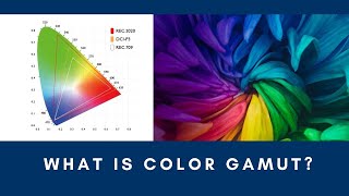 What are Color Gamut Everything you need to know about REC709 REC2020 amp DCIP3 color standards [upl. by Ainoz792]