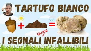 Come trovare il TARTUFO BIANCO I segnali del territorio [upl. by Eedrahs]