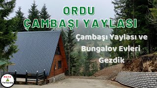 Ordu Çambaşı Yaylası ⛰️ ve Bungalov Evleri 🏡 Oksijen Deposu Cennetten Köşe [upl. by Marya]