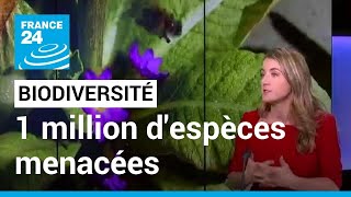 COP15 sur la biodiversité  un million despèces végétales et animales menacées • FRANCE 24 [upl. by Ater851]