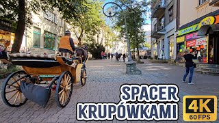 🔴Zakopane Krupówki wycieczka z KONIEM 🐎w 4K❗20240930 ASMR [upl. by Byrd]