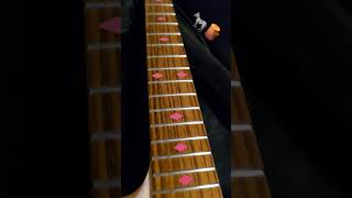 zebrawood fretboard fret fretwork luthier kieselguitars customshop string change figuring [upl. by Ydnagrub652]