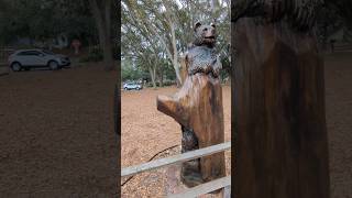 Stay Wild with Carved Bears in Tree at Mount Trotwood Park Winter Springs Florida [upl. by Boy51]