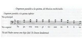 Organum paralelo por quintas Tu patris sempiternus Anónimo Musica Schiriadis Partitura Audición [upl. by Franz891]