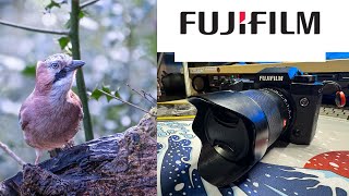 Fujifilm XH2 Long Term Review [upl. by Kieffer521]