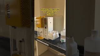 Animal Nutrition laboratory setup  Veterinary college lab  Animal nutrition veterinarycollege [upl. by Ader255]