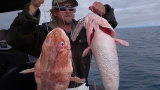 offshore fishing Hokitika Trench South Island New Zealand with Josh James and friends [upl. by Philemol]