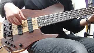 Fodera Imperial MG 5 Elite Custom Bolivian Rosewood DEMO [upl. by Rains]