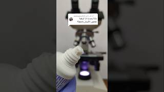 معجون الأسنان تحت الميكروسكوب  Toothpaste under the microscope [upl. by Remat]