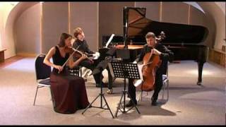 Mendelssohn  Piano trio No 1 in D minor op 49  1st mvt [upl. by Buote653]