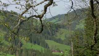 vielfalttv  Ein Bergbauernhof im Emmental [upl. by Sandberg]