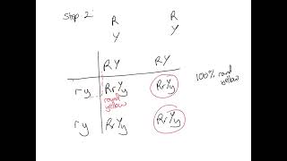 A level Patterns of inheritance [upl. by Elahcar]