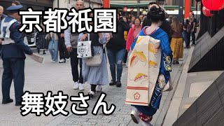 京都祇園花見小路ぶらり舞妓さんが綺麗👘Kyoto Japan Maiko🇯🇵 [upl. by Silera945]