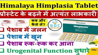 Himalaya Himplasia Tablet । पेशाब में जलन और परेशानी को करेगा दूर । Use dose benefits [upl. by Cung682]