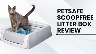 PetSafe ScoopFree Complete Plus Self Cleaning Cat Litterbox [upl. by Datha]