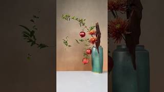 Pomegranate Seeds Grow in Home asmr satisfying treedecoration [upl. by Andrew544]