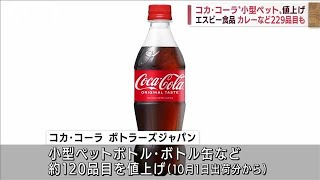 コカ・コーラ“小型ペット”値上げ エスビー食品も2022年6月7日 [upl. by Eibbed]