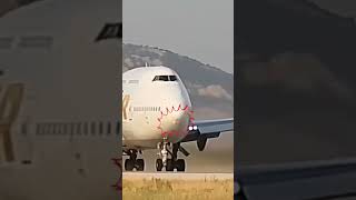 Bird strike during takeoff of Jumbo Jet [upl. by Ecneitap406]