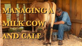 The Milk Cow Part 2  The FHC Show ep 35 [upl. by Sixela]