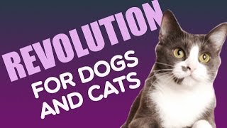 Revolution for Dogs and Cats Heartworm  FleaTick Prevention [upl. by Osugi]