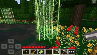 Lets Play Minecraft PE  Ep 2 [upl. by Virgy]