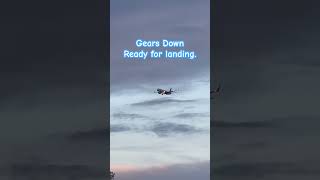 Gears down lights on Ready for landing  arrival [upl. by Pillsbury]