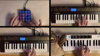 Yamaha Reface DX  Roland Zenology – Wurly Performance [upl. by Llennhoj425]