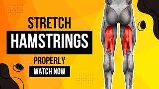 Proper ways to stretch hamstringsPhysical Therapy [upl. by Ward]