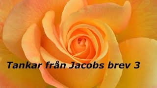 Tankar från Jacobs brev 3 [upl. by Oren]