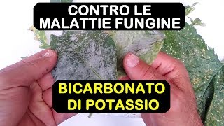 BICARBONATO DI POTASSIO ANTIFUNGINO [upl. by Tlaw]