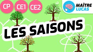 Les saisons CP  CE1  CE2  Cycle 2  Questionner le monde  Se repérer dans le temps [upl. by Ralyt]